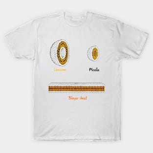 Phospholipids arrangement. Liposome Micelle soap phospholipid bilayer sheet T-Shirt